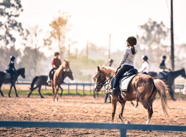 “RideConnect” powered by Pirouette Tasha Events